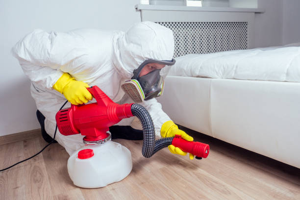 Best Fumigation Services  in Vernonia, OR